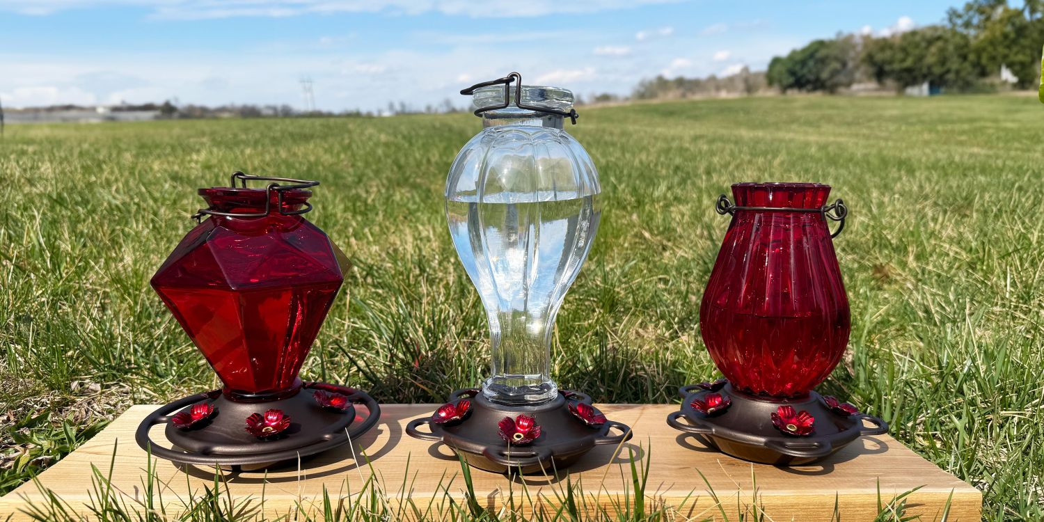 Backyard Essentials Glass Hummingbird Feeder Collection