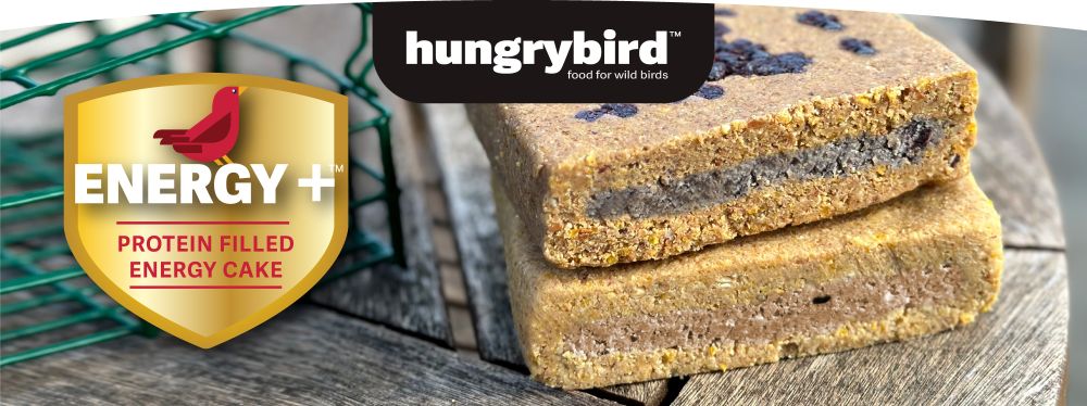 Energy Plus Protein Filled Suet Cake