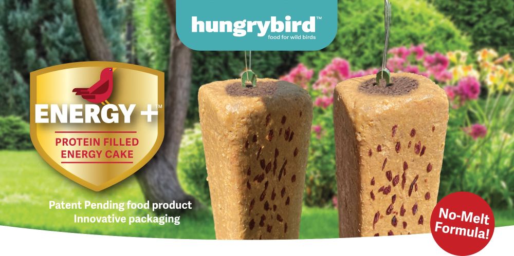 Energy+ Protein Filled Energy Bars 17 oz.