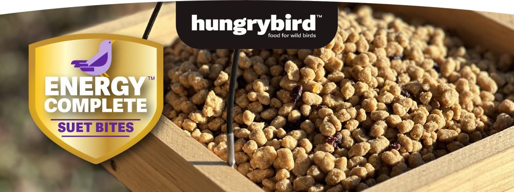 EnergyComplete High Protein Suet Bites