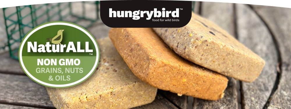 NaturAll-Non-GMO-Suet-Cake