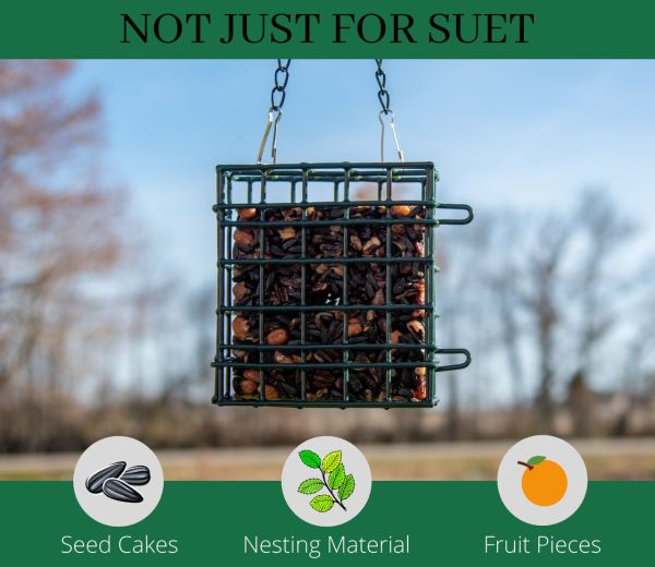 Single Suet Cage