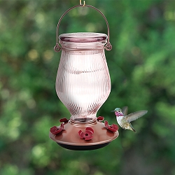 Rose Gold Top-Fill Glass Hummingbird Feeder 
