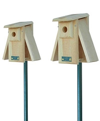Conservation Premium Open 2-Side Bluebird House Package w/Pole Kit