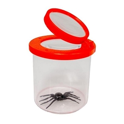 Kids Bug Viewer Kit Set of 3