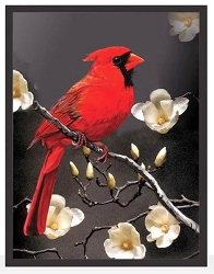 Male Northern Cardinal Nature-Inspired Framed Art Print 7
