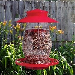 Cardinal Red Lantern Bird Feeder Set of 2