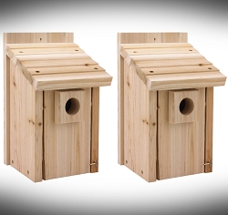 Deluxe Bluebird House 2-Pack