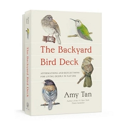 The Backyard Bird Deck