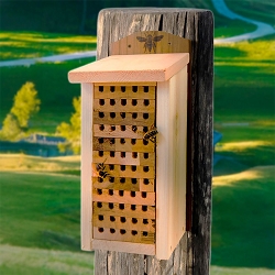 Audubon Heavy Duty Cedar Mason Bee House Large