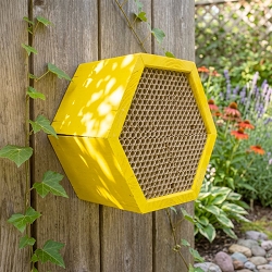 Honey Comb Modular Mason Bee House