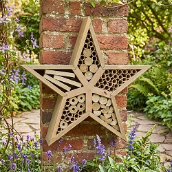 Rustic Farmhouse Star Insect House