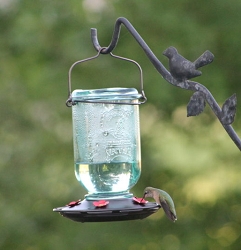 Mason Jar 25 oz. Hummingbird Feeder 
