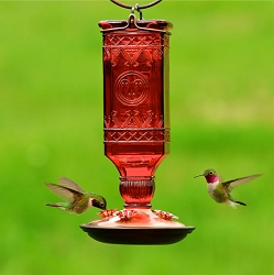 Red Square Antique Bottle Glass Hummingbird Feeder 24 oz.