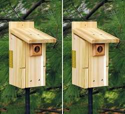 Songbird Cedar Ultimate Bluebird House Package w/Pole Kit