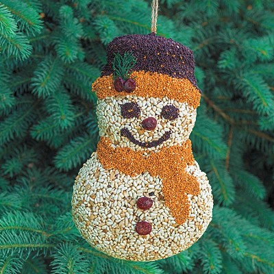 Frosty Snowman Edible Birdseed Feeder 