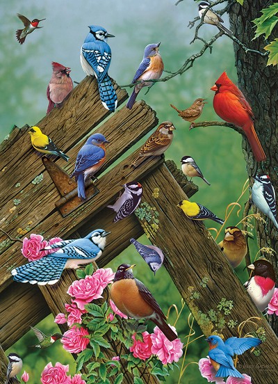 Birds of the Forest 1000 Piece Jigsaw Puzzle 