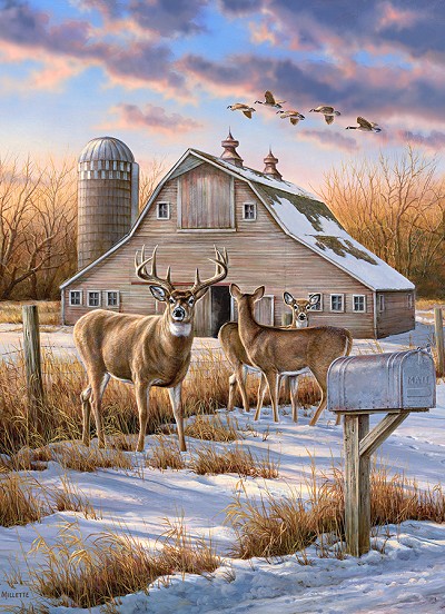 Rural Route 1000 Piece Jigsaw Puzzle 