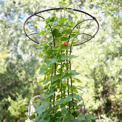 Mushroom Garden Trellis 72" 