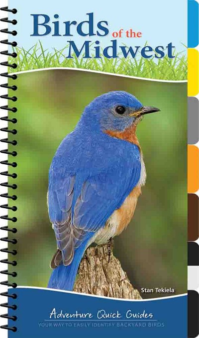 Birds of the Midwest Quick Guide 