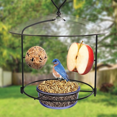 Bluebird Buffet Feeder with Weather Baffle 