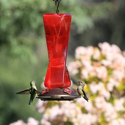 Mirage Hummingbird Feeder 20 oz. 