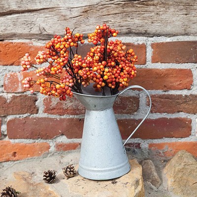 Old Zinc Nostalgic Watering Can 