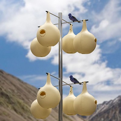 Wild Bird Lover's Two-Piece Martin Gourds and 14 ft. Pole 4 Over 4 Package 