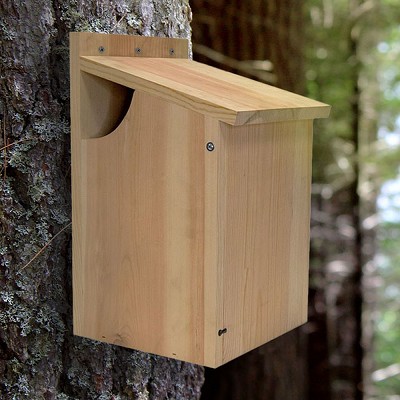 Prime Pine Squirrel Cabin 