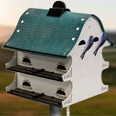 American Barn Purple Martin House and Pole Package 
