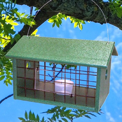 Rubicon Recycled Plastic Mealworm Jail Feeder Hunter Green 
