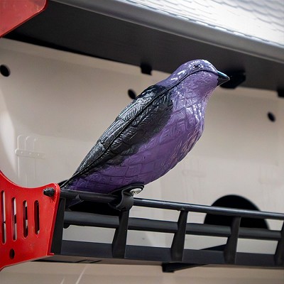 Deluxe Purple Martin Decoy Set of 2 