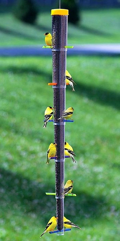Tornado Rainbow Collapsible Finch Feeder Set of 2 