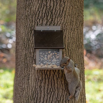 Stokes Select Squirrel Lunch Box 