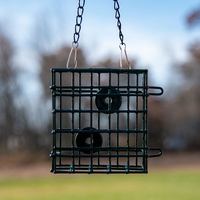 Deluxe Metal Single Suet Cage 3-Pack 