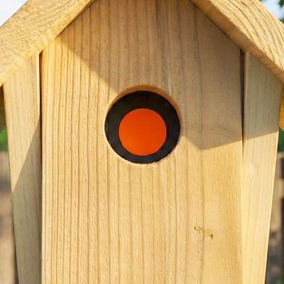 Universal In-House Sparrow Trap 
