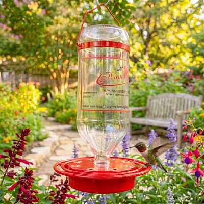 Humdinger Traditional Glass Hummingbird Feeder 32 oz. 