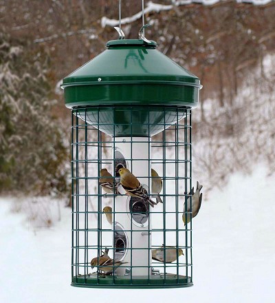 Avian Caged Sunflower & Mixed Seed Feeder 2.375 Gallon 
