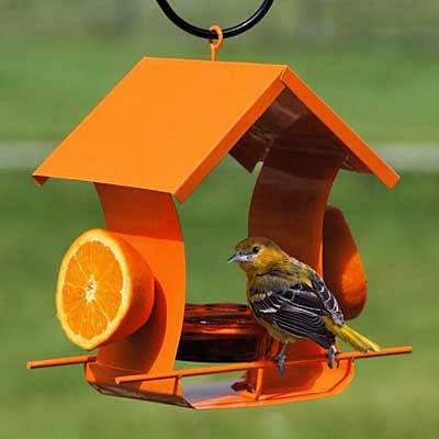 Six Station Metal Oriole Feeder Orange 