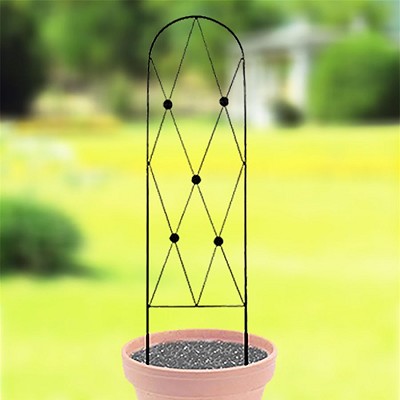 Button Pot Trellis Black 46.5"H 