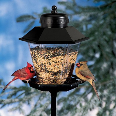 Deluxe Coach Lamp Bird Feeder 