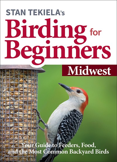 Birding For Beginners Guide Midwest 