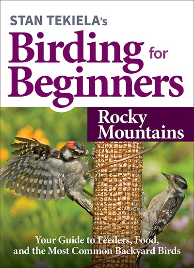 Birding For Beginners Guide Rocky Mountains 