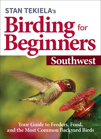 Birding For Beginners Guide Southwest 