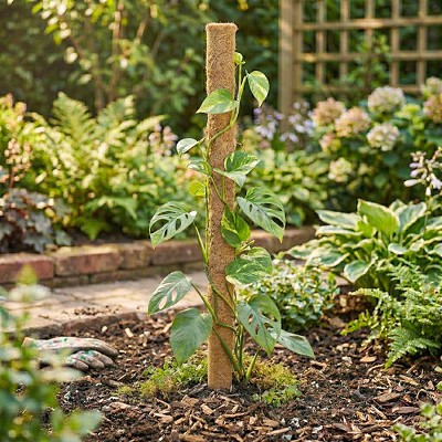 Coco Coir Fiber Pole 32" 3/Pack 