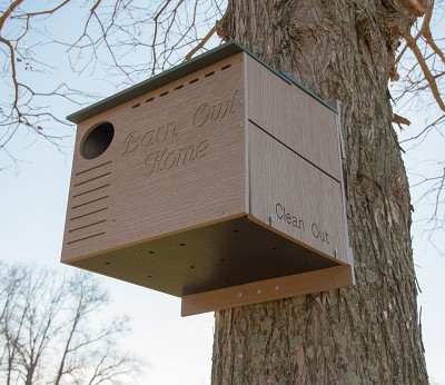 Recycled Poly Barn Owl Nesting Box 