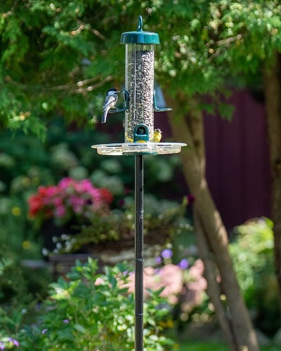 Tube Solution 150 Seed Feeder with BirdsUP Single Pole Kit 
