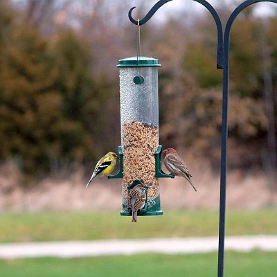 Select Standard Seed Tube Feeder 