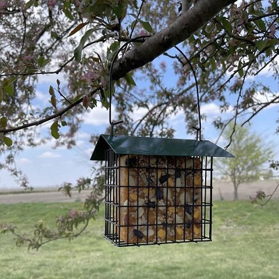 Double Suet Cage Feeder w/Green Metal Roof Set of 2 