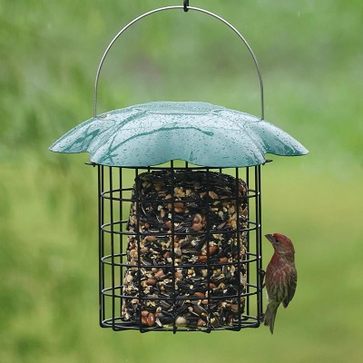 Large Caged Green Roof Seed Log Feeder 